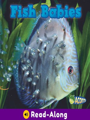 cover image of Fish Babies